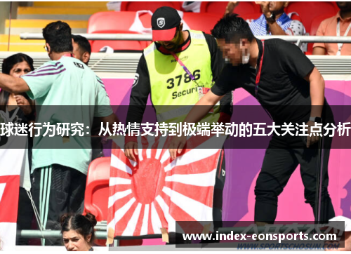 球迷行为研究:从热情支持到极端举动的五大关注点分析