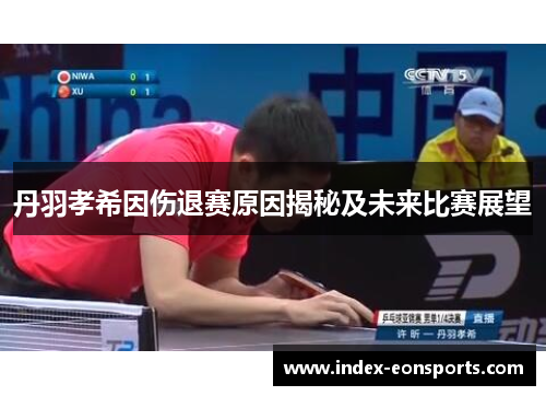 丹羽孝希因伤退赛原因揭秘及未来比赛展望