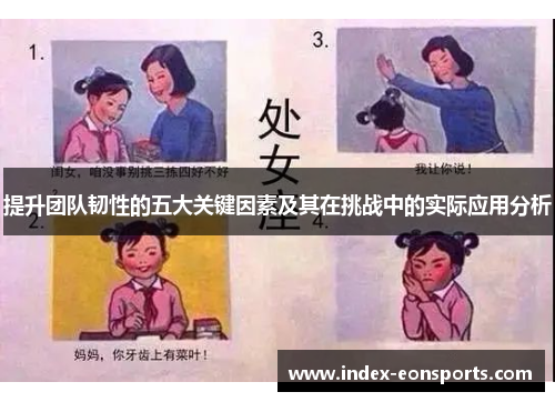 提升团队韧性的五大关键因素及其在挑战中的实际应用分析