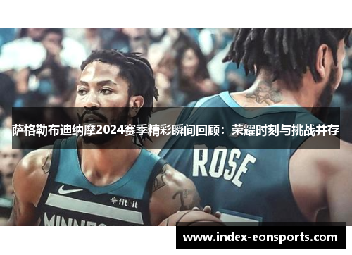 萨格勒布迪纳摩2024赛季精彩瞬间回顾:荣耀时刻与挑战并存