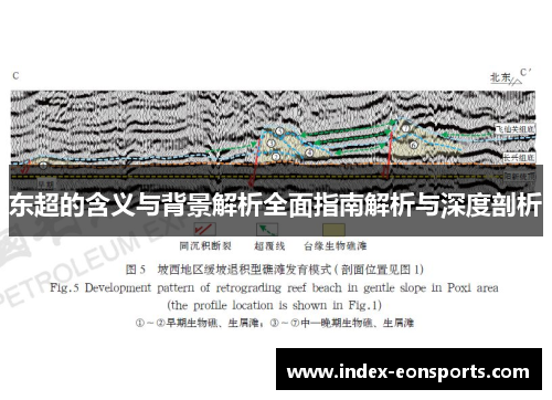 东超的含义与背景解析全面指南解析与深度剖析