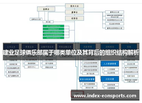建业足球俱乐部属于哪类单位及其背后的组织结构解析