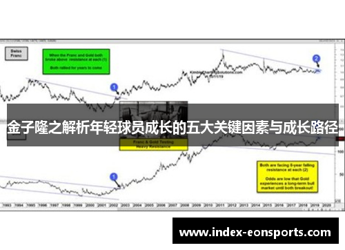 金子隆之解析年轻球员成长的五大关键因素与成长路径 金子隆之解析年轻球员成长的五大关键因素与成长路径
