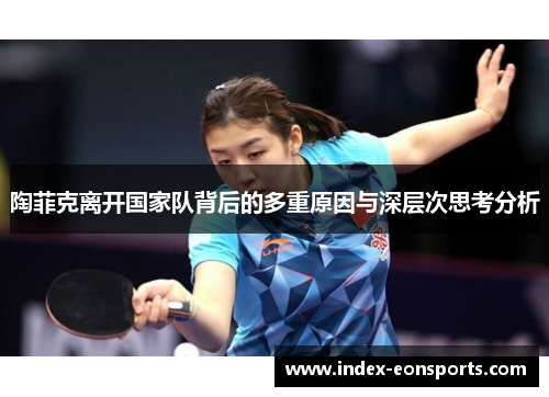 陶菲克离开国家队背后的多重原因与深层次思考分析
